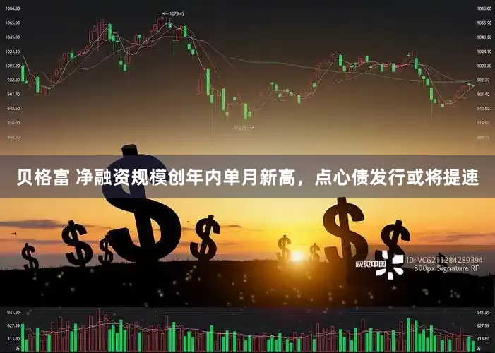 贝格富 净融资规模创年内单月新高，点心债发行或将提速